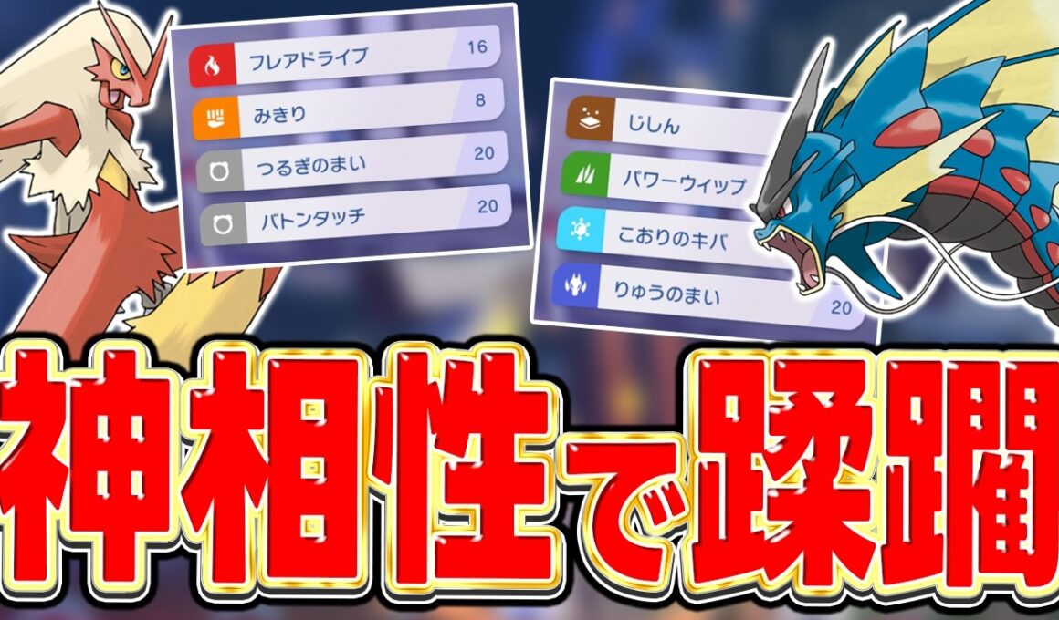 【オススメ】メガギャラドスの最高の相棒が見つかりました。その名も『剣舞バトンHBバシャーモ』です🐰【ポケモンチャンピオンズ】