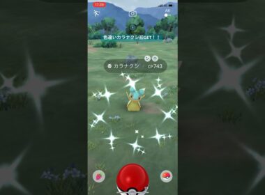 ポケモンGO色違いカラナクシ初GET！#ポケモン #ポケモンgo #pokemongo