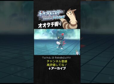 【オオタチ縛り旅】氷ジムの●●型ニューラに驚きを隠せない漢。【ダイパリメイク／ポケモン／生放送切り抜き】