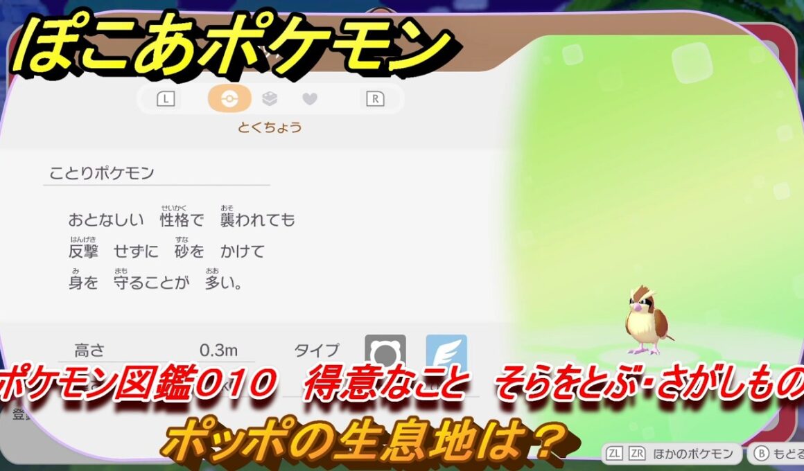 ぽこあポケモン　ポッポの生息地は？　ポケモン図鑑０１０　得意なこと　そらをとぶ・さがしもの　＃７５８　【ぽこポケ】