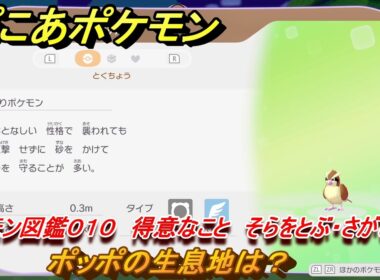 ぽこあポケモン　ポッポの生息地は？　ポケモン図鑑０１０　得意なこと　そらをとぶ・さがしもの　＃７５８　【ぽこポケ】