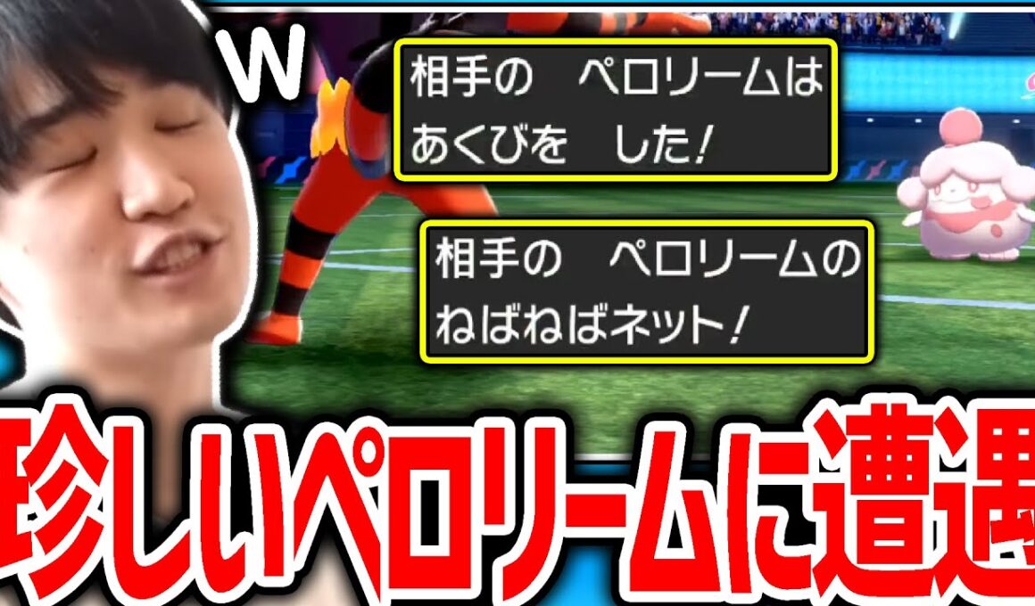 【剣盾】ランクマでは珍しい「ペロリーム」に遭遇するライバロリ【ポケモン】