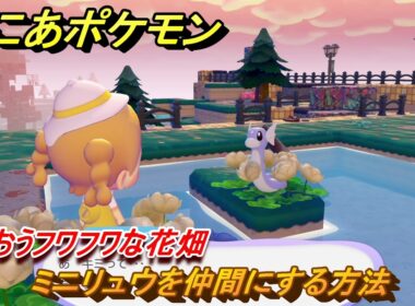 ぽこあポケモン　ミニリュウを仲間にする方法　うるおうフワフワな花畑　＃１６３　【ぽこポケ】