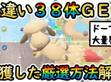 【色違いドーブル】最大/最小も狙えるおすすめの大量発生色厳選を解説！捕獲要因として大活躍【 #ポケモンSV 】