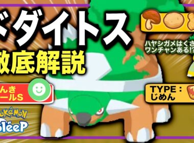 【全リサーチャー狙うべし！】ドダイトス解説＆無課金評価【ポケモンスリープ】【げんきオールS】