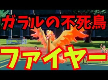 運と火力でごり押し！ガラルファイヤー【ポケモンSV】【スカーレット バイオレット】