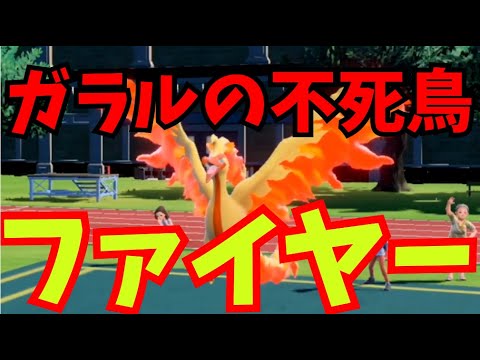 運と火力でごり押し！ガラルファイヤー【ポケモンSV】【スカーレット バイオレット】