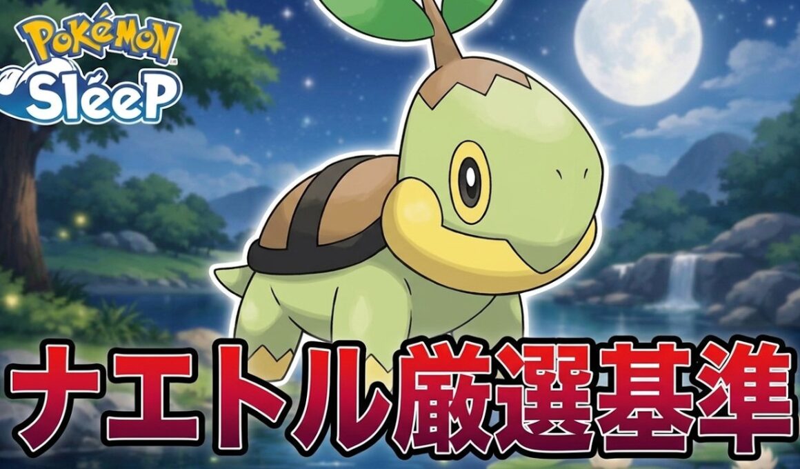 おてボ+3補正ナエトル狙います【新規勢の毎朝リサーチ7/17】
