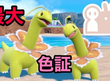 最大サイズの色違いメガニウムを厳選！【ポケモンSV】【チコリータ大量発生】【色証】