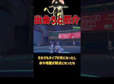 もしかして強い？リククラゲ