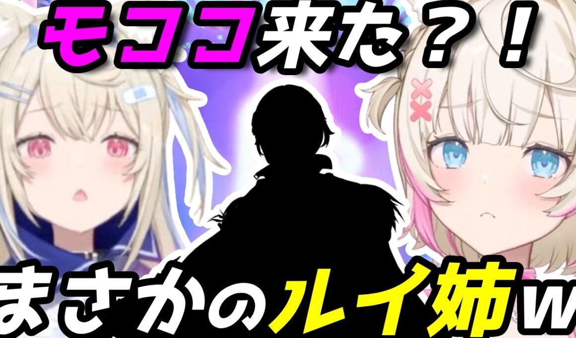 モココ来た！？→ルイ姉★5で大騒ぎするフワモコ【ホロドリ】