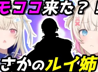 モココ来た！？→ルイ姉★5で大騒ぎするフワモコ【ホロドリ】