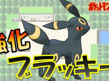 技を強化したブラッキーを使ってジョウトを蹂躙する!!ポケモン1匹縛りプレイ!!ブラッキーきみに決めた!!