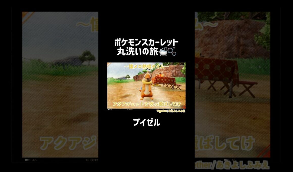 アクアジェットで吹っ飛ばしてけ💥(ブイゼル洗いながらTogether歌うだけ) #ブイゼル #buizel  #ポケモンsv #ポケモンスカーレット #ポケモン #pokemon #shorts