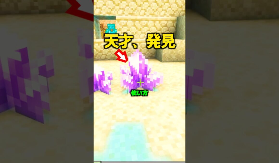 海外の天才、アメジストの仕様を発見。【マイクラ】