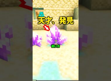 海外の天才、アメジストの仕様を発見。【マイクラ】