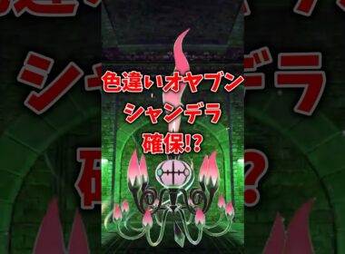 【ポケモンZA】オヤブン色違い厳選！#shorts   #ポケモン #ゲーム実況 #ポケモンza#色違い #ポケモンZA #色オヤブン厳選 #色違いオヤブン