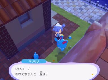 【ぽこ あ ポケモン】ルリリとマリルリの会話