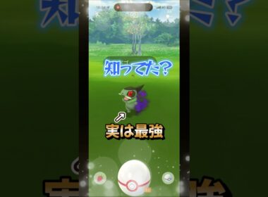 【ポケモンGO】優秀すぎるシャドウキバゴの個体値とシャドウオノノクスの魅力を解説#ポケモンgo #ポケモン #Shorts