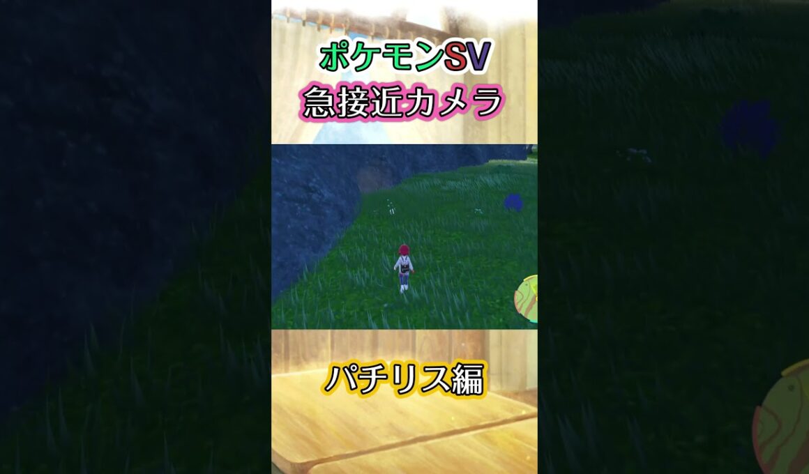 【ポケモンSV】パチリスを散歩感覚で追い詰めるだけの動画 #ポケモン #ポケモンsv #パチリス #shorts