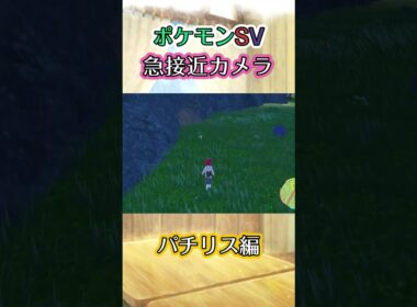 【ポケモンSV】パチリスを散歩感覚で追い詰めるだけの動画 #ポケモン #ポケモンsv #パチリス #shorts
