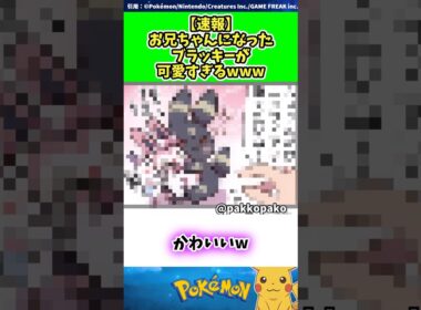 【速報】お兄ちゃんになったブラッキーが可愛すぎるwww  #ポケモン #反応集