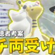 天才視聴者考案、"ガチ両受け"メガデンリュウが強すぎた…【ゆっくり実況】【ポケチャン】