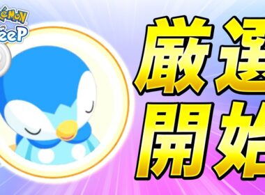 【ポケモンスリープ】本格的ポッチャマ厳選、スタート