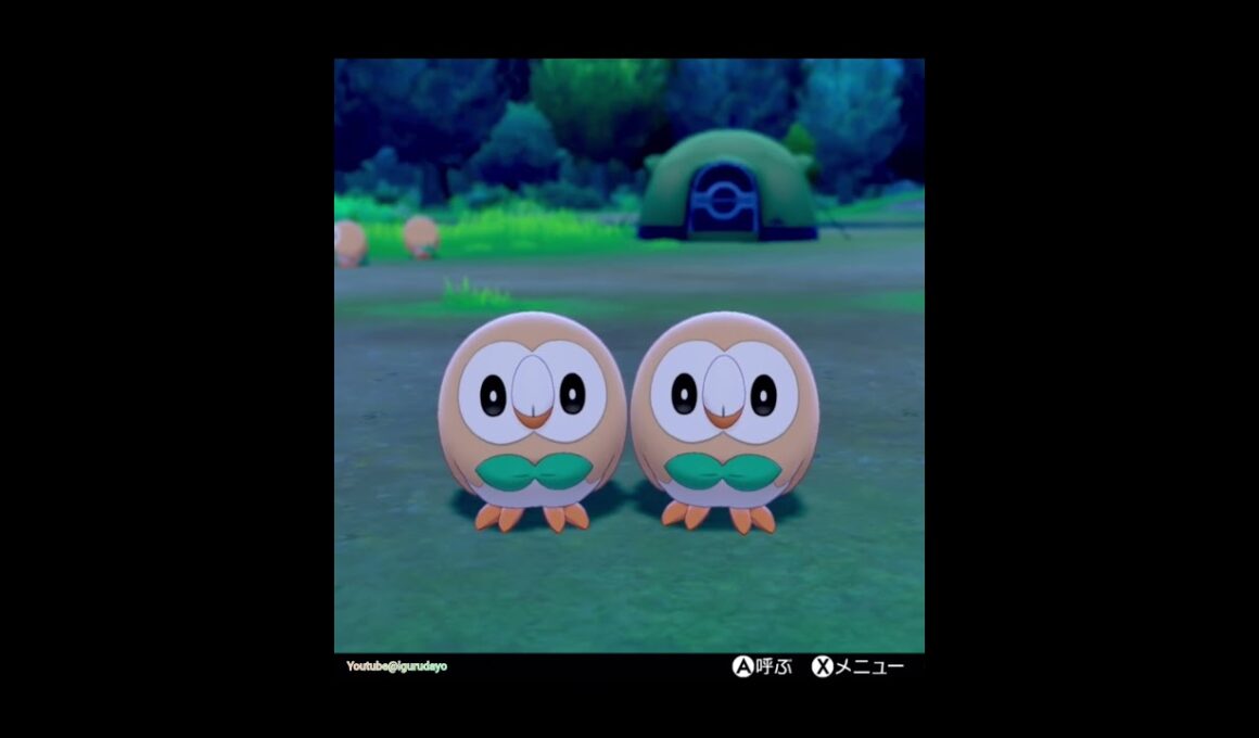 剣盾のモクロー🎵Rowlet　　#pokemonswordshield #ポケモン剣盾