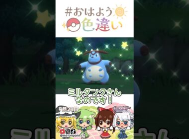☀️トラウマ製造機！色違いミルタンク🐮✨2026年7月28日 #おはよう色違い #おは色 #ポケモン