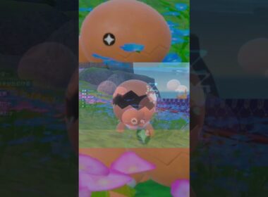 ナックラー6匹とピクニック【ポケモンSV】#Shorts