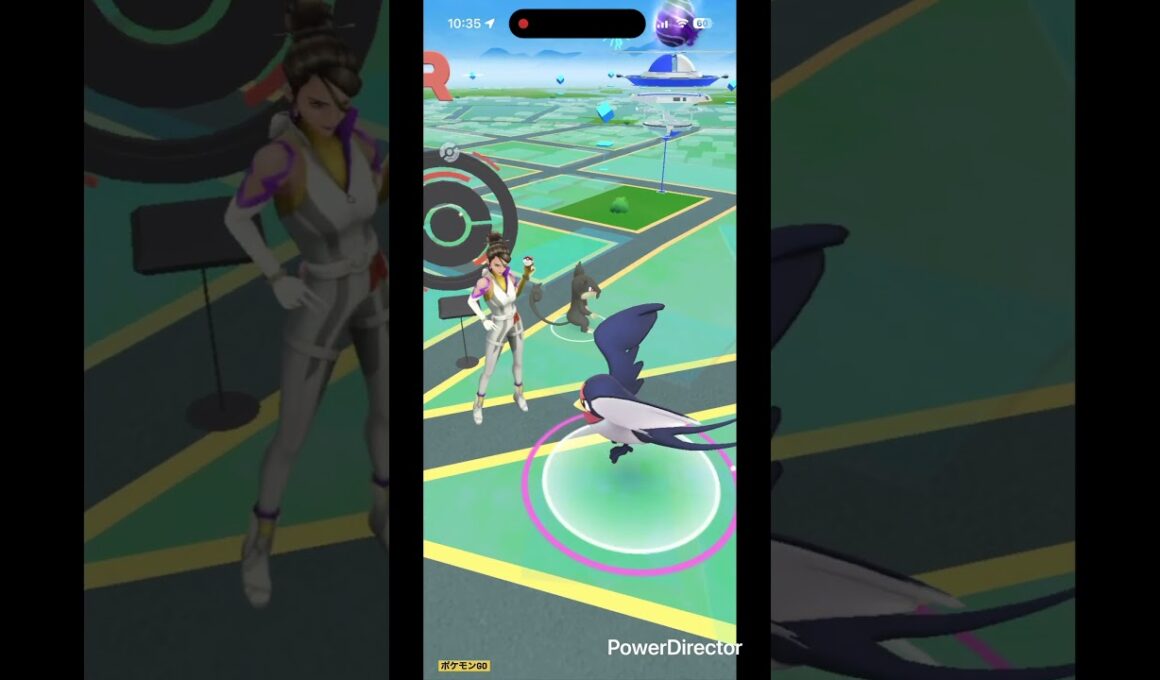 スバメ小 #pokemongo #pokemon #ポケgo #ポケモンgo #ポケモン