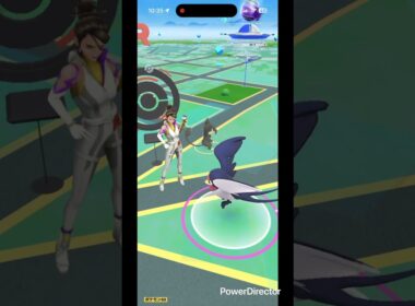 スバメ小 #pokemongo #pokemon #ポケgo #ポケモンgo #ポケモン