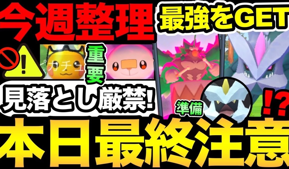 今日で終了！色々注意して！今週は最強アタッカーが登場！合体キュレムの準備も！【 ポケモンGO 】【 GOバトルリーグ 】【 GBL 】
