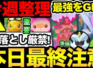 今日で終了！色々注意して！今週は最強アタッカーが登場！合体キュレムの準備も！【 ポケモンGO 】【 GOバトルリーグ 】【 GBL 】