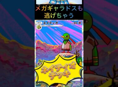【ポケポケ】メガギャラドスも逃げちゃう！？ネイティオデッキ🤣#shorts #ポケカポケット