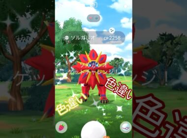 最終日に…色違いソルガレオ🌞✨個体値は…🤔 #ポケモンgo #pokemongo #pokemongoshorts