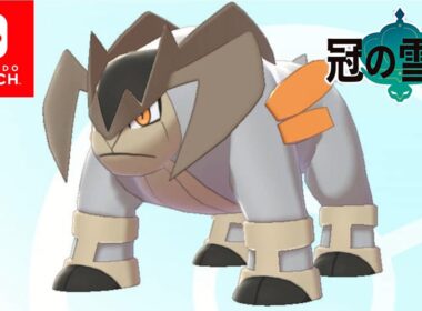 【冠の雪原】テラキオンの捕獲方法【ポケモン剣盾】#13