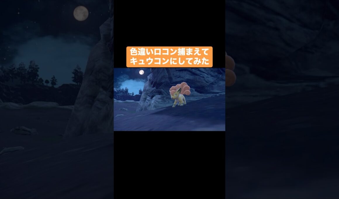 色違いロコンを捕まえてキュウコンに進化させると…