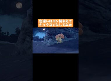 色違いロコンを捕まえてキュウコンに進化させると…