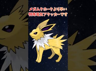 【サンダース】自分メガムクホークより早い特殊電気アタッカーです！