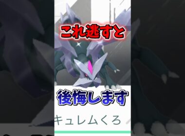 【注意】⚠️最強登場⚠️最強火力となる個体値厳選必須なキュレムレイドが早々に復刻！ホワイトキュレムorブラックキュレムのフィールド効果用アメ集めも！【ポケモンGO】#ポケモンGO #島名なまし