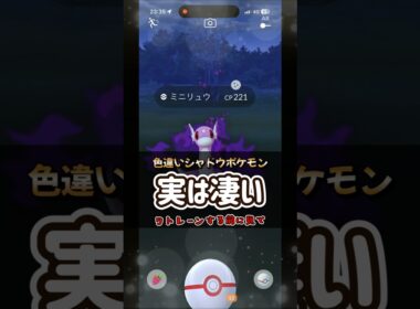 【ポケモンGO】リトレーン前に見てください実はめっちゃレア！色違いシャドウミニリュウの個体値は！？#ポケモンgo #ポケモン #Shorts