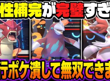 相性補完が完璧な『ドリュウズ』＆『ギャラドス』が最強すぎて無双しましたｗｗ特性『かたやぶり』で大人気のあのポケモンもワンパンですｗｗ【ポケモンチャンピオンズ】
