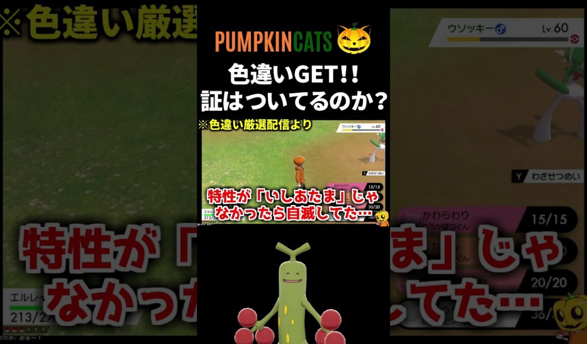 【色違い厳選】野生で色違いウソッキー出現!! 証はついてるのか…!? #Shorts 【色証】【ポケモン剣盾】