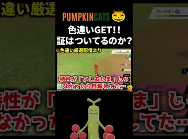 【色違い厳選】野生で色違いウソッキー出現!! 証はついてるのか…!? #Shorts 【色証】【ポケモン剣盾】