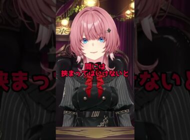 壁だったはずのルイ姉がフワモコの間に割り込む【フワワ・アビスガード/モココ・アビスガード/鷹嶺ルイ/ホロライブ切り抜き】