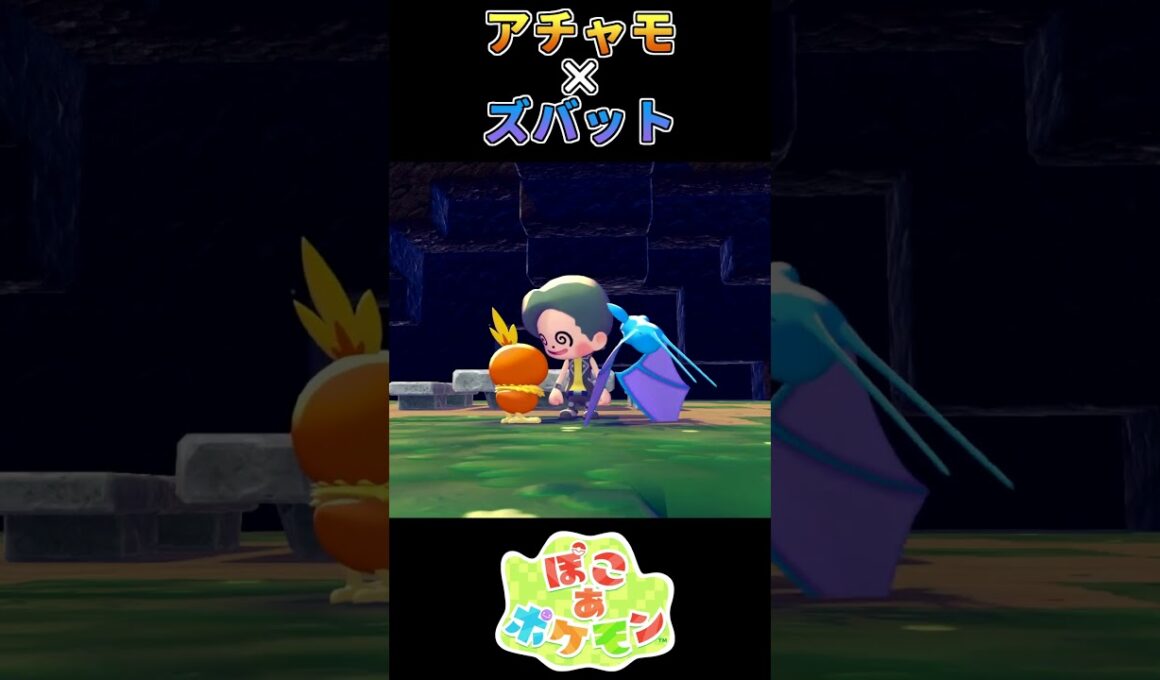 【ぽこあポケモン】超音波を習得していたアチャモ【ポケモン】