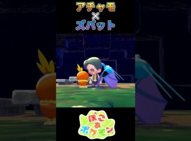 【ぽこあポケモン】超音波を習得していたアチャモ【ポケモン】