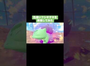 色違いフシギダネを厳選してみた【ポケモンSV】